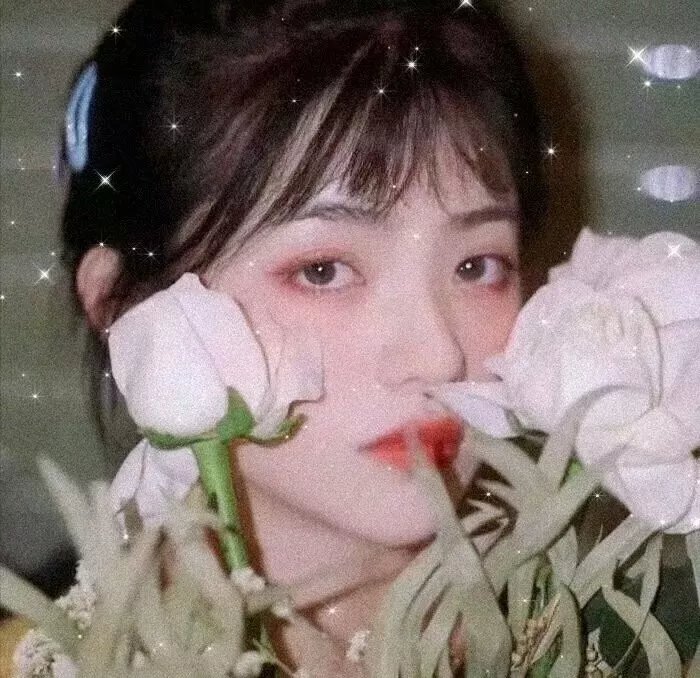 老狼请客